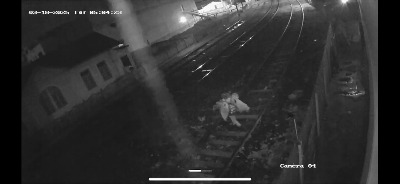 Vídeo: Associação de Catadores de Materiais Recicláveis é alvo de furto na madrugada desta terça-feira em Santos Dumont